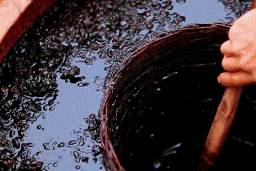 【古法酿造的匠人老爹酱油】1080天的竹580天的原汁酱油&580天的无盐酱油 商品图6