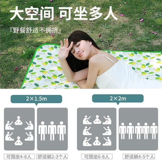 【可折叠野餐垫！双面防水】春夏野餐垫防潮垫加厚野餐布 春游便携露营地垫郊游户外防水垫子 商品图2