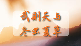 武则天与冬虫夏草