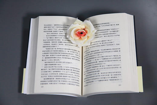 杨沫青春之歌中国青年出版社红色经典文学畅销书籍革命爱情林道静成长【出版社直发】官方正版 商品图3