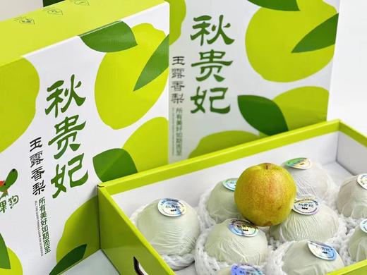 【秋贵妃·玉露香梨🍐】礼盒装8-9颗 /约6斤~✅含糖量高✅嫩到带皮啃✅松脆多汁✅入口化渣👍一口下去，你一定爱上它的美味，它的果‮含实‬水量达到90%，一口下去，汁水就迫‮及不‬待往外飚 商品图8