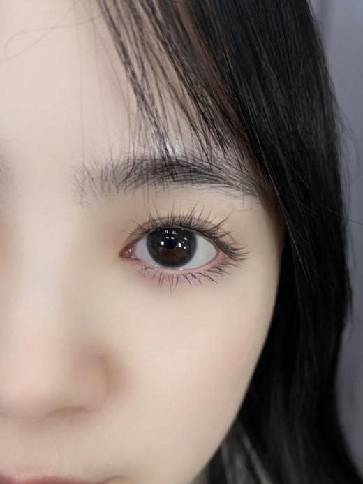 Truecon&Annakelly半年抛 黑松墨 直径14.0着色直径13.5 国产 商品图5