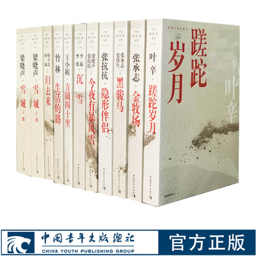 知青小说系列10本 今夜有暴风雪 蹉跎岁月 归去来 黑骏马 生活的路 方圆四十里 雪城 隐形伴侣金牧场 中国青年 商品图0