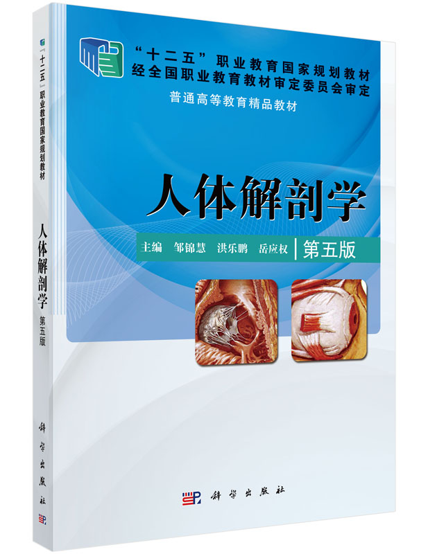 人体解剖学（第五版）邹锦慧