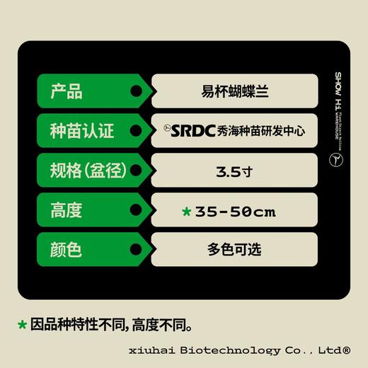 蝴蝶兰3.5寸 多色可选  圆通包邮 昆明发货 商品图1