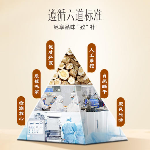 【官方正品】云南白药孜补板蓝根100g板兰根圆切片肉质肥厚饱满泡水 商品图4