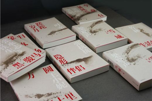 知青小说系列10本 今夜有暴风雪 蹉跎岁月 归去来 黑骏马 生活的路 方圆四十里 雪城 隐形伴侣金牧场 中国青年 商品图2