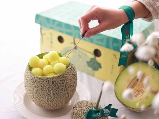 【当季】牛3蜜瓜  海南三亚 顺丰发货 商品图3