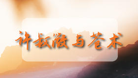 许叔微与苍术
