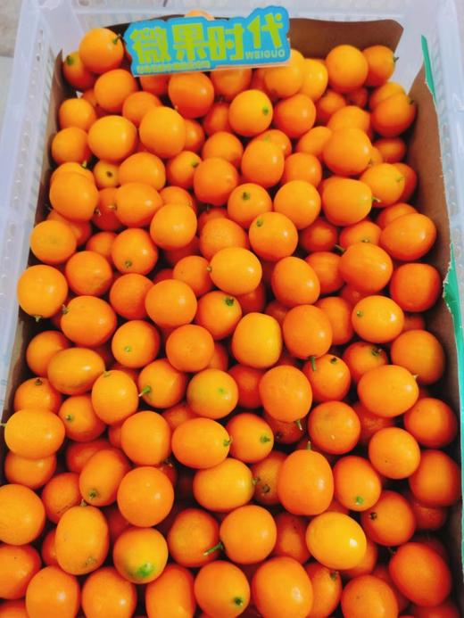 冰糖小金桔2斤（拼团） 商品图0