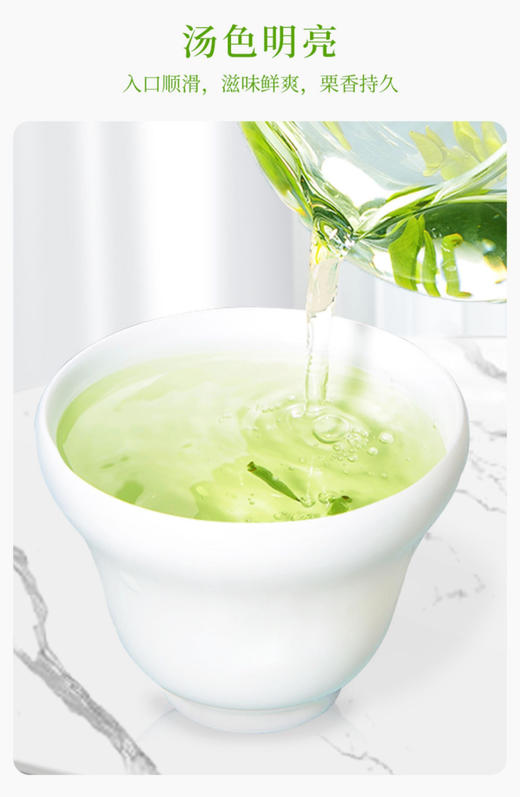 龙芽大师牌宜宾早茶50g 商品图1