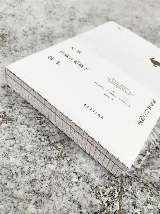 大地仍躲在棉被下越冬:俄罗斯自然随笔 弗拉基米尔·伊万诺维奇·科利别里著 陈淑贤译 中国青年出版社 商品图2