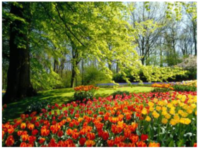 春季吃出生生之气，这款食疗和它不要错过！ 