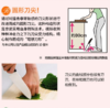 京瓷KYOCERA 陶瓷刀 菜刀 切菜家用刀具厨房水果刀 商品缩略图5