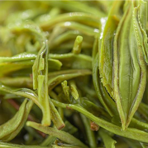 醒世茶业丨高山绿茶 四川高山云雾绿茶 500g（250g*2盒） 商品图2