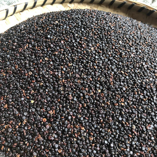 水红花子 商品图1