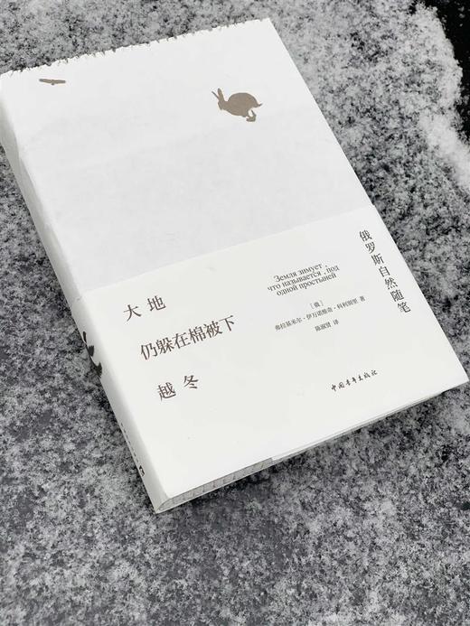 大地仍躲在棉被下越冬:俄罗斯自然随笔 弗拉基米尔·伊万诺维奇·科利别里著 陈淑贤译 中国青年出版社 商品图1