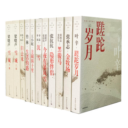 知青小说系列10本 今夜有暴风雪 蹉跎岁月 归去来 黑骏马 生活的路 方圆四十里 雪城 隐形伴侣金牧场 中国青年 商品图4
