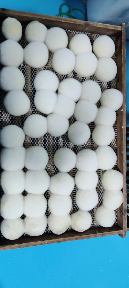 荆裕优选美豆渣100g霉豆渣 商品图5