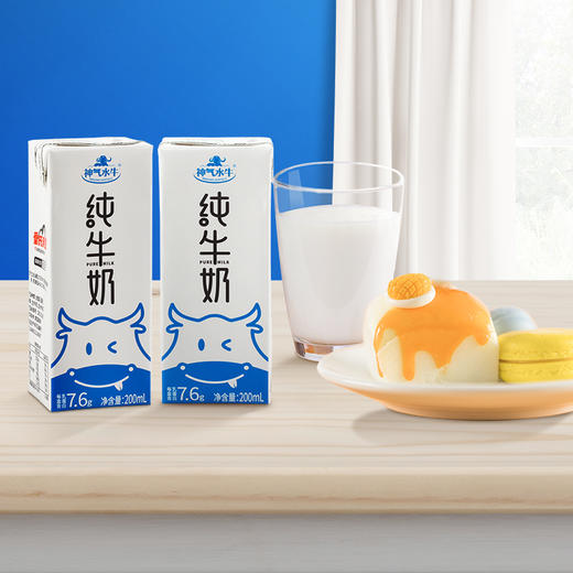 【冰淇淋水牛奶】皇氏乳业 神气水牛纯牛奶125ml/200ml*10瓶  香甜浓郁，没有奶腥味，冷冻后像是在吃冰淇淋，喝过一次就忘不了，美味营养，全家都爱喝 商品图8