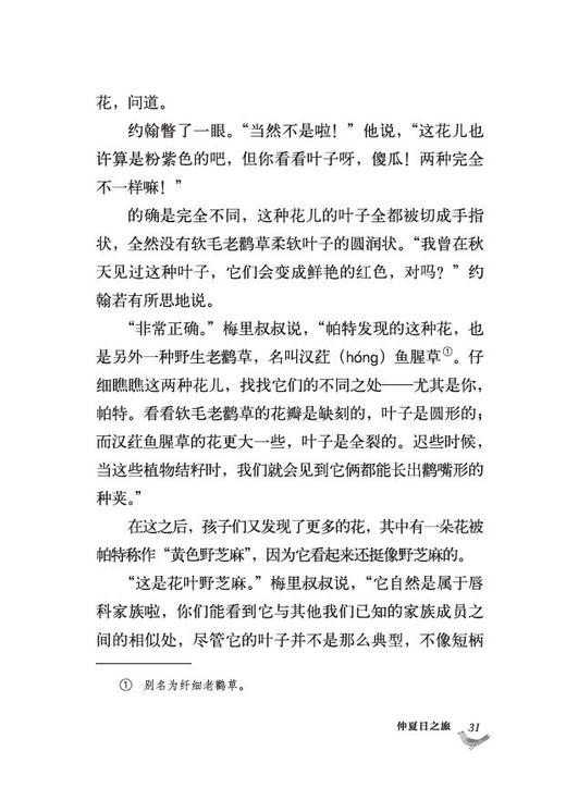 《走，去野外（全4册）》英国“童书女王”伊妮德·布莱顿写给孩子的自然观察故事书 商品图12