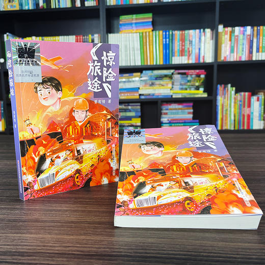 惊险旅途 商品图1