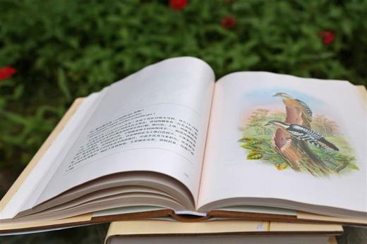 世界博物学经典图谱 亚洲鸟类 (上中下)精装 约翰古尔德 中国青年出版社自然科普手绘书籍 正品直发 商品图2