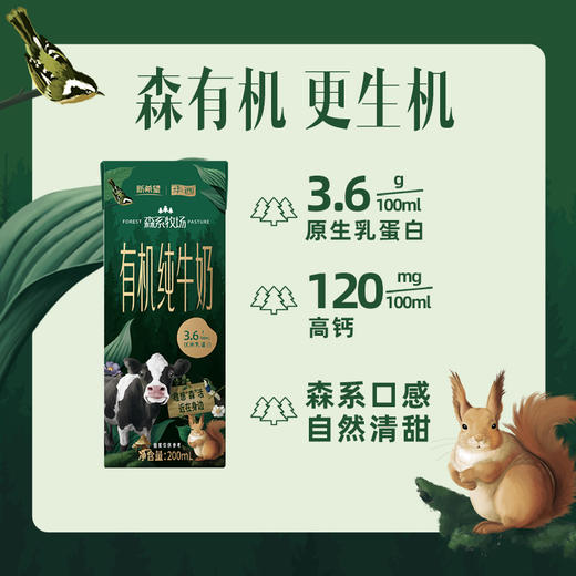 常温森系牧场有机纯牛奶200ml*10 商品图2