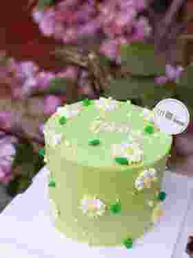 小雏菊（内有竹签固定，注意安全）