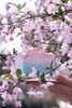 樱花微景观蛋糕（下架） 商品缩略图0