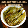 2023春茶 吉顺号古500蟒蛇箐古树普洱茶生茶七子饼茶茶叶357g 商品缩略图5