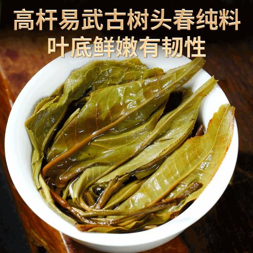 2023春茶 吉顺号古500蟒蛇箐古树普洱茶生茶七子饼茶茶叶357g 商品图5