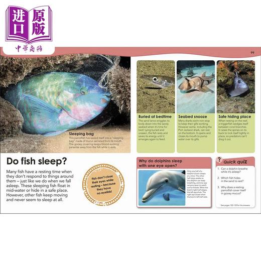 【中商原版】How Deep is the Ocean?DK海洋有多深 英文原版 进口图书 儿童科普绘本 科学百科知识图书 儿童百科全书 商品图3