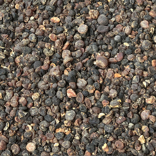 土贝母 商品图3