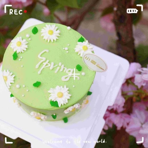 小雏菊（内有竹签固定，注意安全） 商品图1