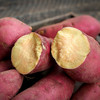 沙地板栗薯 4.5-5斤/箱丨粉糯香甜 皮薄如纸 蒸烤皆宜 0农残安全守护 商品缩略图0