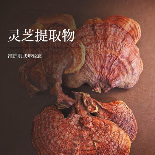 【预售】灵芝杏仁蜜 30g 商品图2