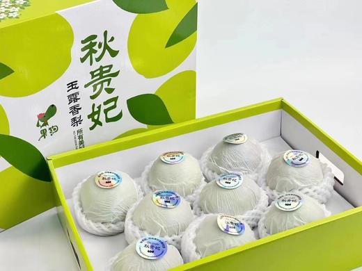 【秋贵妃·玉露香梨🍐】礼盒装8-9颗 /约6斤~✅含糖量高✅嫩到带皮啃✅松脆多汁✅入口化渣👍一口下去，你一定爱上它的美味，它的果‮含实‬水量达到90%，一口下去，汁水就迫‮及不‬待往外飚 商品图0