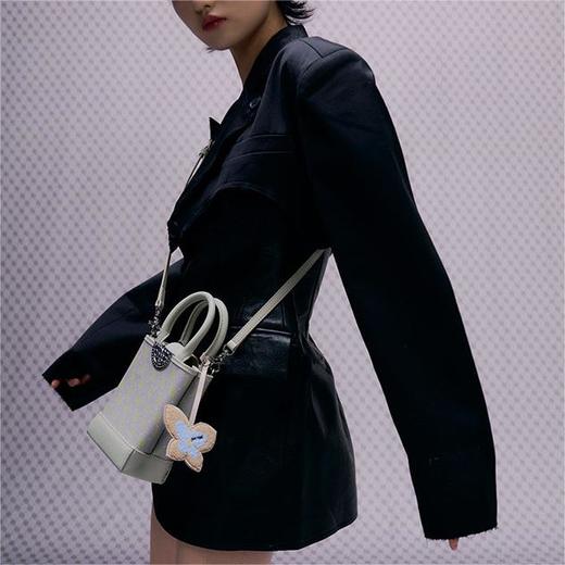 mini金币托特包 商品图2