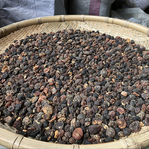 土贝母 商品图1