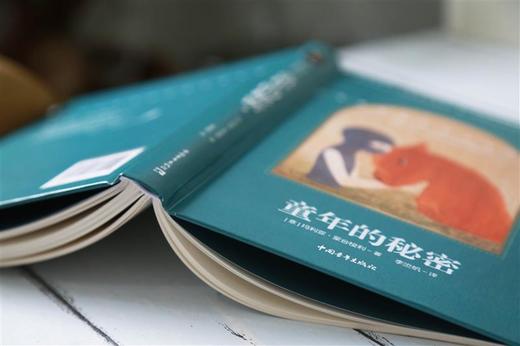 童年的秘密蒙台梭利中国青年出版社影响孩子一生的养育理念早教经典名著育儿胎教书籍官方正版 商品图2