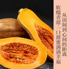 云南高原农家自种老品种新鲜南瓜   口感绵密宝宝辅食首选  甜而不腻  包邮发出 商品缩略图0