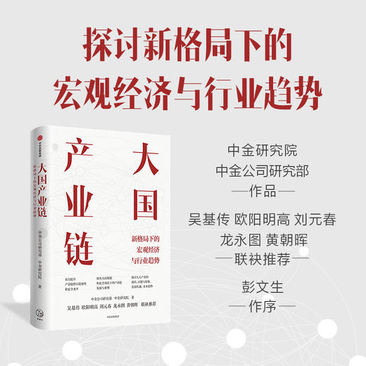 【官微推荐】大国产业链 中金公司研究部 等著 限时4件85折 商品图1