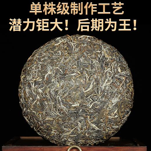 2023春茶 吉顺号古500蟒蛇箐古树普洱茶生茶七子饼茶茶叶357g 商品图2