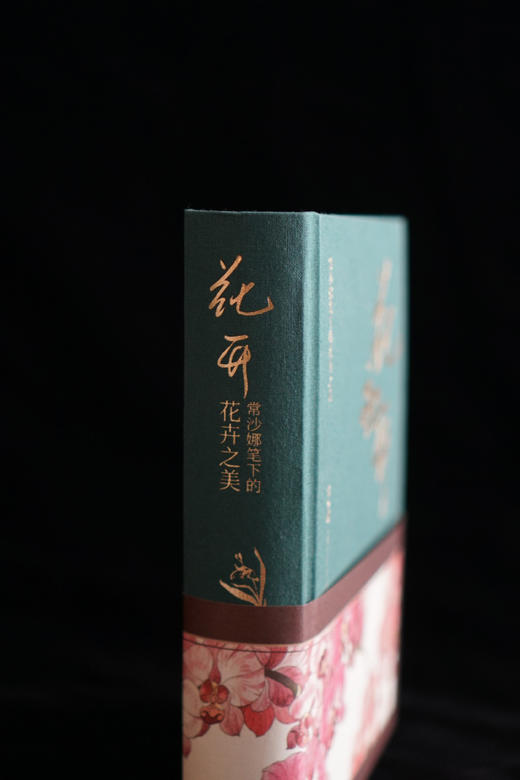 花开常沙娜笔下的花卉之美中国青年出版社手绘笔记书文化创意手账【出版社直发】官方正版 商品图4