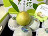 【秋贵妃·玉露香梨🍐】礼盒装8-9颗 /约6斤~✅含糖量高✅嫩到带皮啃✅松脆多汁✅入口化渣👍一口下去，你一定爱上它的美味，它的果‮含实‬水量达到90%，一口下去，汁水就迫‮及不‬待往外飚 商品缩略图6