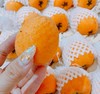 啊啵蜜云南长虹甜枇杷 | 水果 商品缩略图0