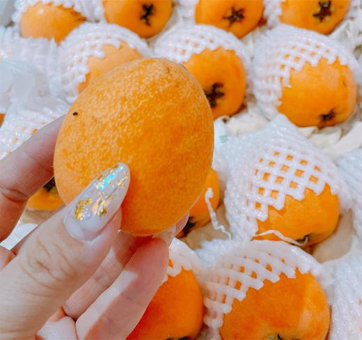 啊啵蜜云南长虹甜枇杷 | 水果 商品图0