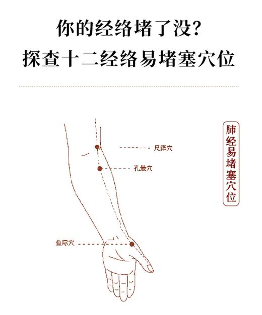 徒手通经络 通则不痛痛则不通 第2版 路新宇 赠作者示范经络保健按摩视频 经络堵点探查疏通视频 中国科学技术出版社9787504697936 商品图2