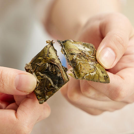 鼎茗荟丨金枝玉叶 白牡丹 福鼎白茶 2020年原料 180g 2盒配手提袋 商品图3